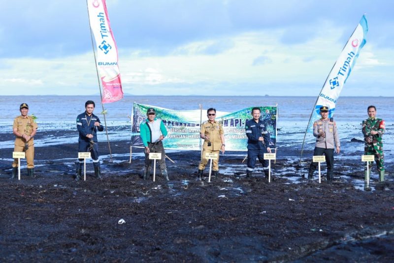 Cegah Abrasi dan Jaga Ekosistem Pesisir, PT Timah Tanam 3000 Mangrove di Pantai Sesai Party Beach